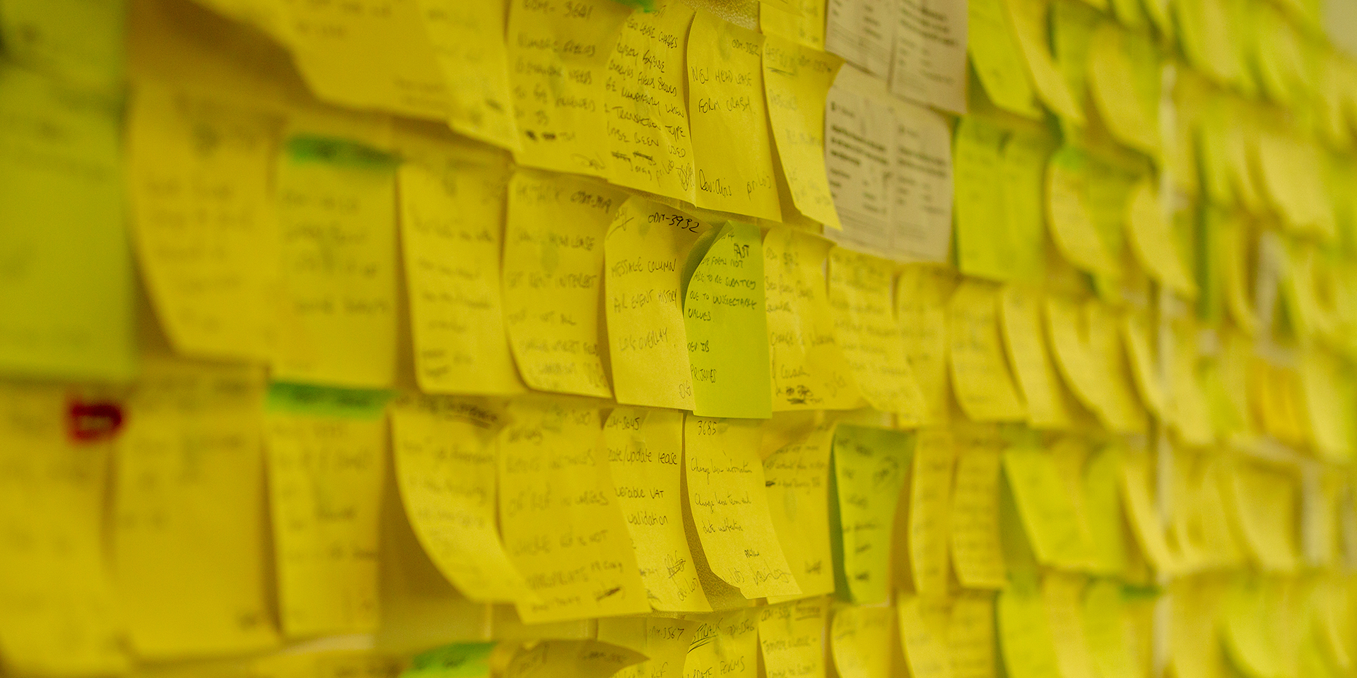 Wall covered in sticky notes, showing Mojo's progress one year on