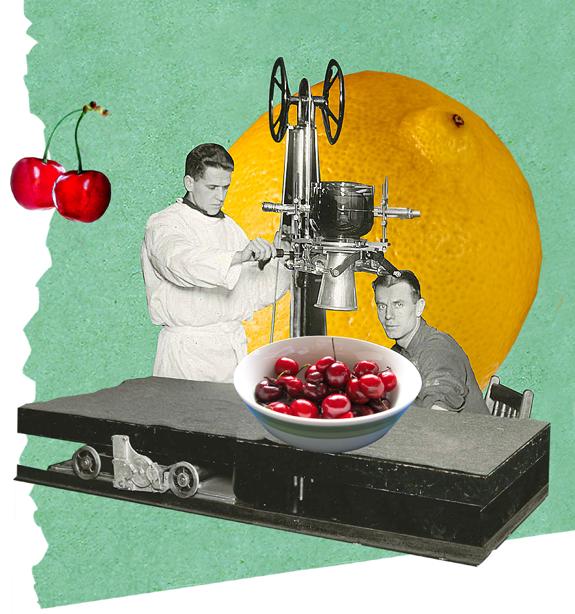 two men using a large machine on cherries