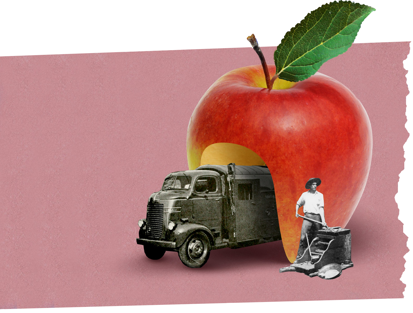 vintage truck driving through an apple wide