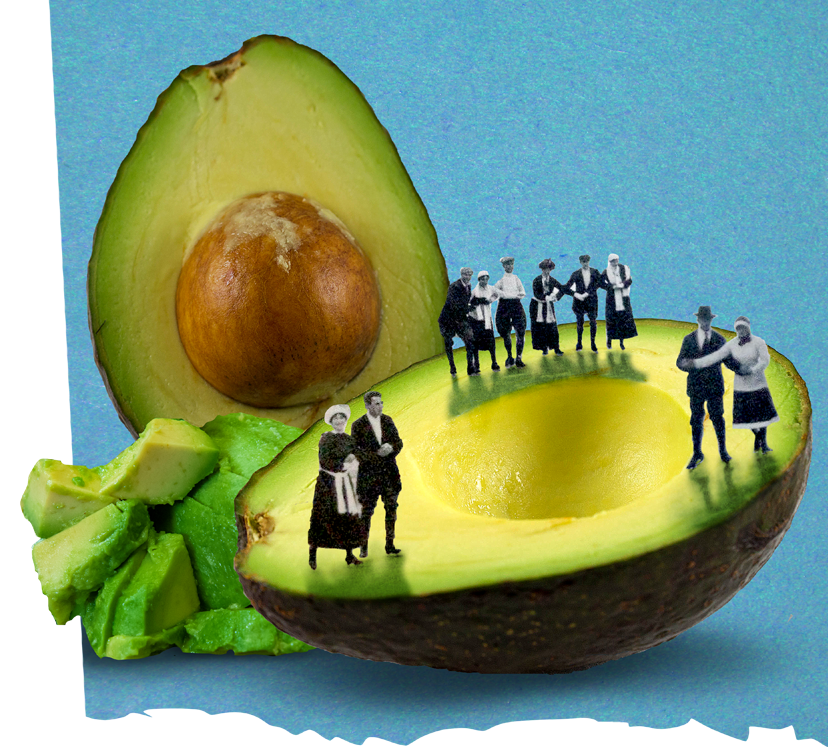 a vintage image of a crowd ice skating on top of an avocado