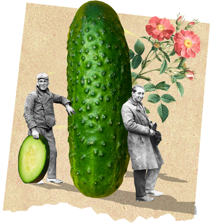 vintage pilots lean up against a massive cucumber