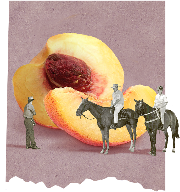 three cowboys in front of a peach