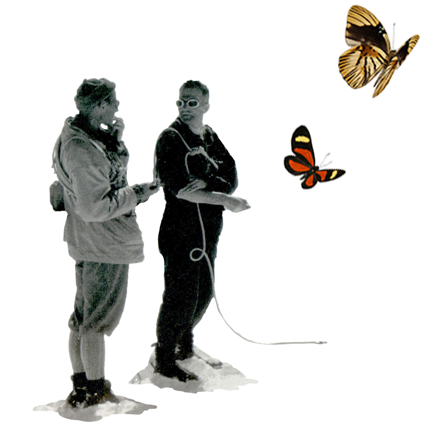 explorers in the snow, surrounded by butterflies